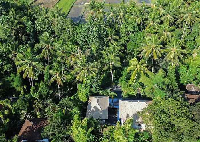 The Ubari Bali - Luxury Riverside Escape Ubud
